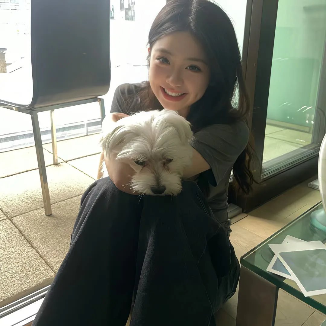 我的狱友是朱棣